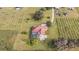 House with pool, surrounded by vineyard at 331 Lewis Rd, Lithia, FL 33547