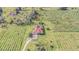 Aerial view of home on a large lot with vineyards at 331 Lewis Rd, Lithia, FL 33547