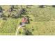 Aerial view of home on vineyard property at 331 Lewis Rd, Lithia, FL 33547