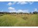 Spacious backyard featuring a grassy landscape at 331 Lewis Rd, Lithia, FL 33547