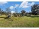 Grassy backyard landscape with trees and shrubs at 331 Lewis Rd, Lithia, FL 33547