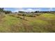 Large backyard with grassy area and partial view of home at 331 Lewis Rd, Lithia, FL 33547