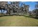 Expansive backyard showcasing a large oak tree and home view at 331 Lewis Rd, Lithia, FL 33547