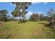 Backyard with grassy area and a large oak tree at 331 Lewis Rd, Lithia, FL 33547