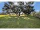Large backyard with a majestic oak tree draped in Spanish moss at 331 Lewis Rd, Lithia, FL 33547
