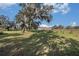 Single story home with front porch and large yard at 331 Lewis Rd, Lithia, FL 33547