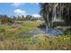 Charming pond with lily pads and a small fountain at 331 Lewis Rd, Lithia, FL 33547