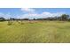 Open field with grassy area and distant trees at 331 Lewis Rd, Lithia, FL 33547