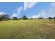 Large property with lush grass and mature trees at 331 Lewis Rd, Lithia, FL 33547