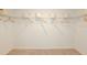 Large walk-in closet with wire shelving and hanging rods at 11294 Linden Depot Rd, San Antonio, FL 33576