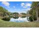 Serene pond reflecting the house and surrounding landscape at 11623 Innfields Dr, Odessa, FL 33556