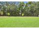Spacious backyard with lush green grass and trees at 2437 Orange Harvest Pl, Seffner, FL 33584