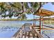 Private dock on a serene lake with lush vegetation at 806 Taray De Avila, Tampa, FL 33613