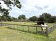 Fenced pasture with a horse shelter and a horse at 8529 Kenton Rd, Wesley Chapel, FL 33545