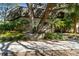 Image 1 of 60: 2552 W Palm Dr, Tampa