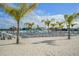 Beach with rows of lounge chairs and palm trees at 31396 Cabana Rye Ave, San Antonio, FL 33576