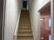 Carpeted staircase leading to the upper level of the home at 9818 Morris Glen Way, Temple Terrace, FL 33637