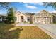 Image 1 of 80: 11806 Summer Springs Dr, Riverview