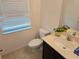 Small half bathroom with white toilet and vanity, and a plant at 6949 Crested Orchid Dr, Brooksville, FL 34602