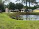 Image 1 of 33: 6604 Plover Ct, Seffner
