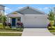 Image 1 of 24: 7967 Peace Lily Ave, Wesley Chapel
