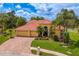 Image 1 of 100: 17922 Arbor Haven Dr, Tampa