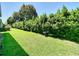 Landscaped backyard with lush greenery and a bird feeder at 29405 Cochiti Lake Dr, San Antonio, FL 33576
