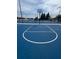Well-maintained outdoor basketball court, perfect for recreation at 11412 Bridge Pine Dr, Riverview, FL 33569