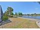 Lush backyard features a scenic pond, mature trees, and a well-maintained lawn at 1007 Emerald Dunes Dr, Sun City Center, FL 33573