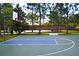 Outdoor basketball court with ample space at 1953 Nature View Dr, Lutz, FL 33558