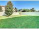 Large backyard with grassy area and privacy fence at 1953 Nature View Dr, Lutz, FL 33558