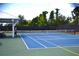 Well-maintained pickleball court near picnic area at 1953 Nature View Dr, Lutz, FL 33558