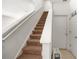 Well-lit carpeted staircase with white railings at 17539 Balmaha Dr, Land O Lakes, FL 34638