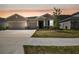 Image 1 of 87: 3787 Autumn Amber Dr, Spring Hill