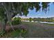 Landscaped backyard with a lake view and lush greenery at 804 Regal Manor Way, Sun City Center, FL 33573