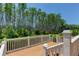 Wood deck with white railings offering serene views of the lush backyard and towering trees at 7510 N Mobley Rd, Odessa, FL 33556