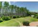 Landscaped backyard with lush greenery and a spacious lawn area at 7510 N Mobley Rd, Odessa, FL 33556