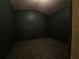 Small bedroom with dark-painted walls and carpeted floor at 11310 Stratton Park Dr # 1, Temple Terrace, FL 33617