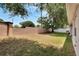 Large backyard with a grassy area, mature trees, and a privacy wall at 12902 Cattail Shore Ln, Riverview, FL 33579
