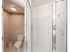 Bathroom with shower and toilet, featuring updated fixtures and tile at 30315 Lettingwell Cir, Wesley Chapel, FL 33543