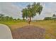 Outdoor fitness area with exercise equipment and scenic views at 9018 Rally Spring Loop, Wesley Chapel, FL 33545