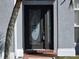 Elegant front door with decorative glass and sidelight, brick entryway, and mature landscaping at 28330 Openfield Loop, Wesley Chapel, FL 33543