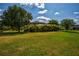 Large grassy backyard with mature trees and a partial view of the house at 3831 Evergreen Oaks Dr, Lutz, FL 33558