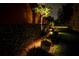 Landscaped walkway beside a lush hedge at 3831 Evergreen Oaks Dr, Lutz, FL 33558