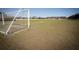 Soccer field with goals, perfect for recreational activities at 3831 Evergreen Oaks Dr, Lutz, FL 33558