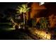 Landscaped backyard with palm trees and pathway lighting at 3831 Evergreen Oaks Dr, Lutz, FL 33558