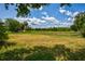 Spacious backyard with a view of a golf course and lush landscape at 3831 Evergreen Oaks Dr, Lutz, FL 33558