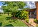 Landscaped backyard with lush tropical plants at 3831 Evergreen Oaks Dr, Lutz, FL 33558