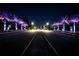 Night view of a community road with palm trees at 3831 Evergreen Oaks Dr, Lutz, FL 33558