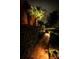 Well-lit pathway beside a hedge and palm tree at 3831 Evergreen Oaks Dr, Lutz, FL 33558